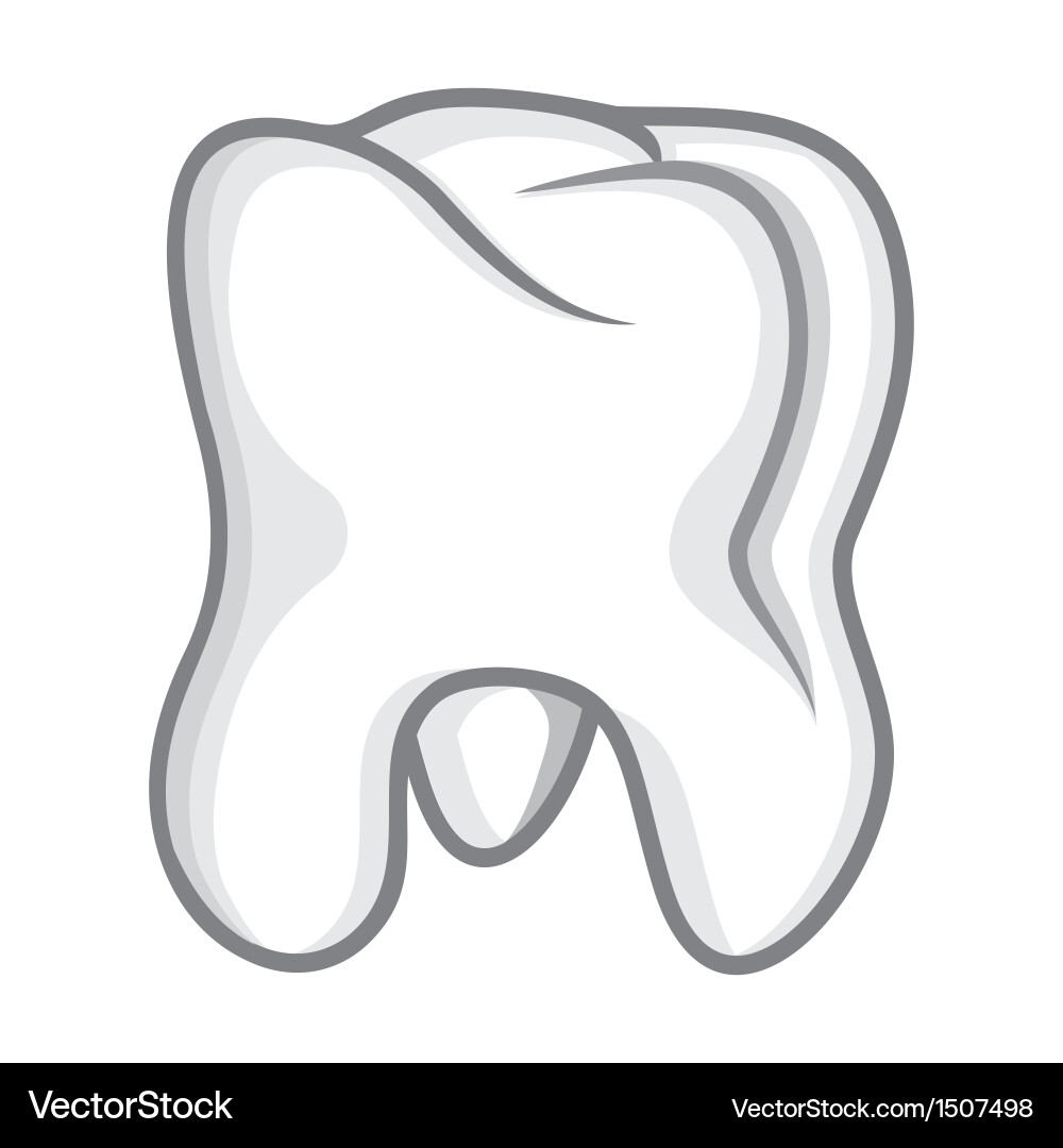 Tooth isolate on white Royalty Free Vector Image
