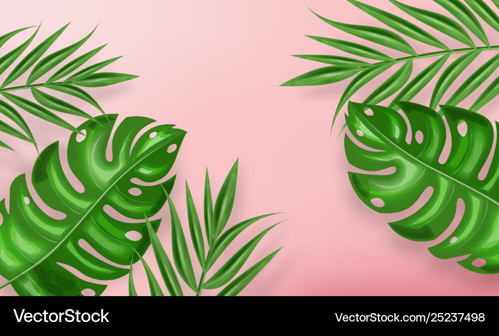 Tropic Palmblätter realistischen Hintergrund Tropic Palmblätter realistischen Hintergrund Vektorbild