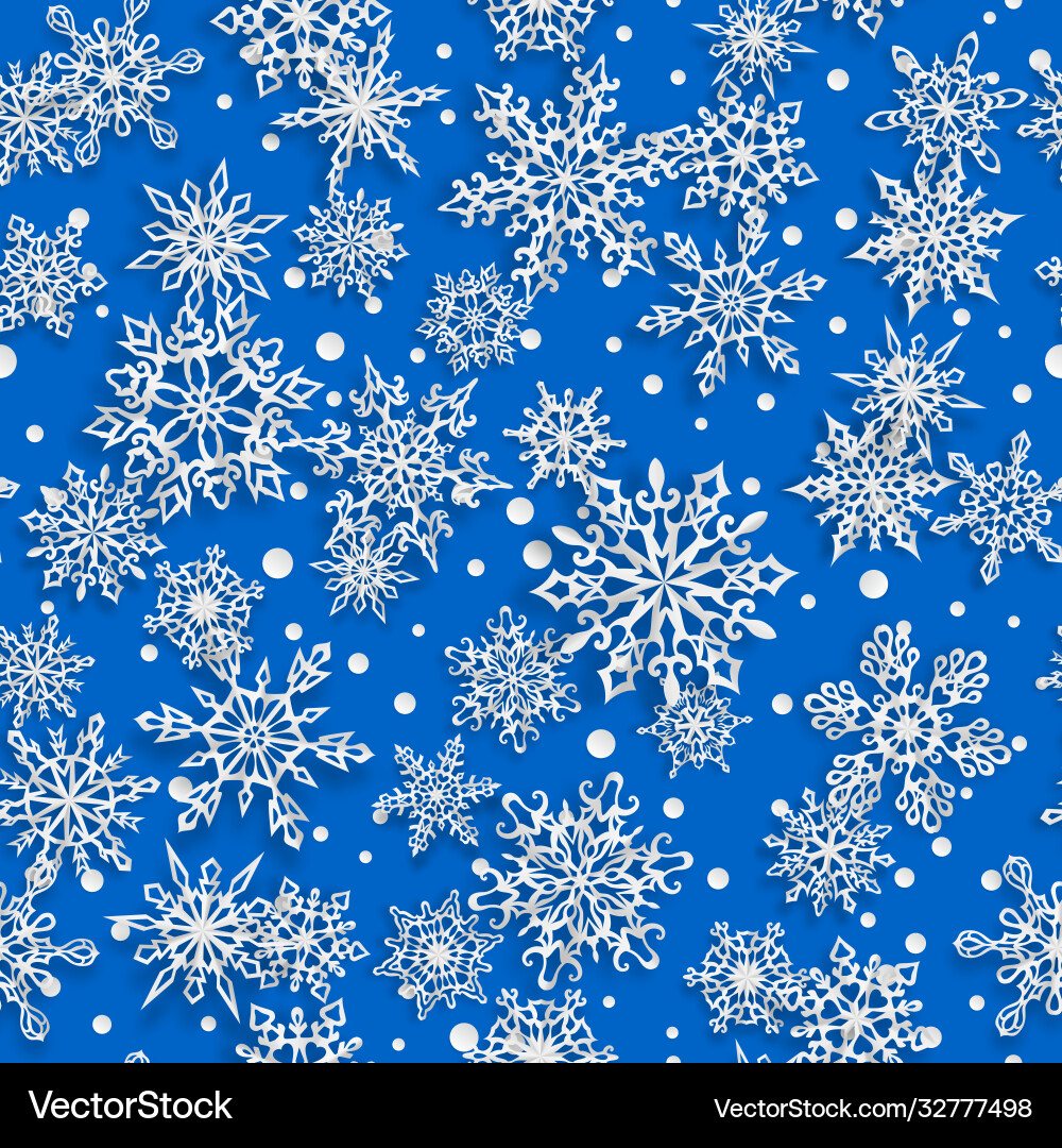 Winter Snowflake Pattern vector image