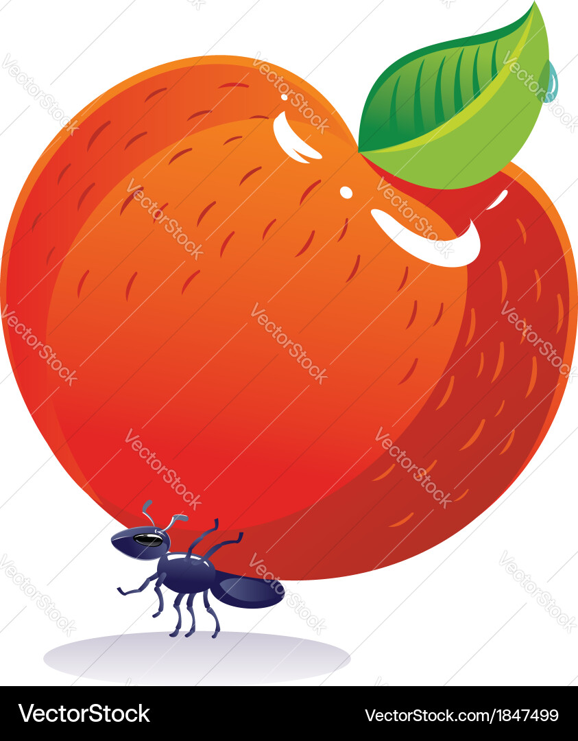 Ant Royalty Free Vector Image - VectorStock