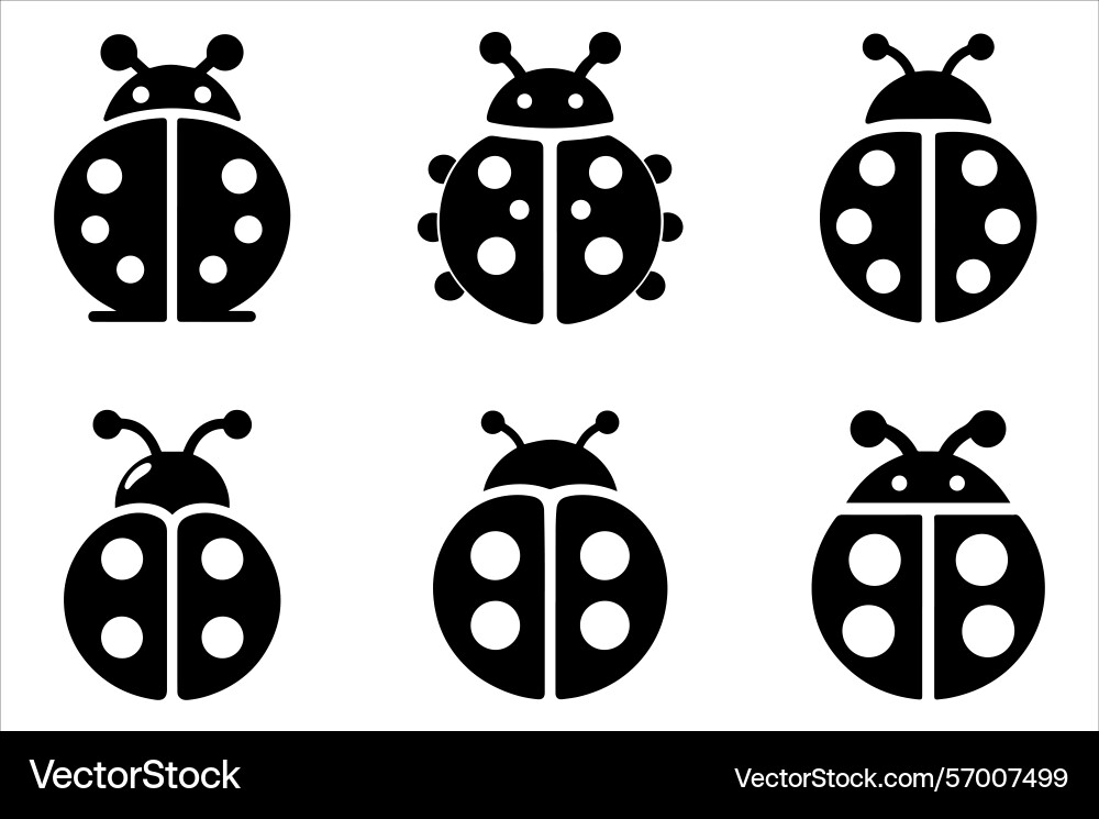 Diverse array of charming ladybugs simple insect Vector Image