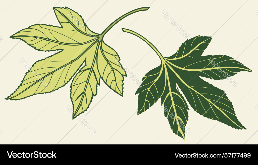 Maple leaves set design generative ai vector image