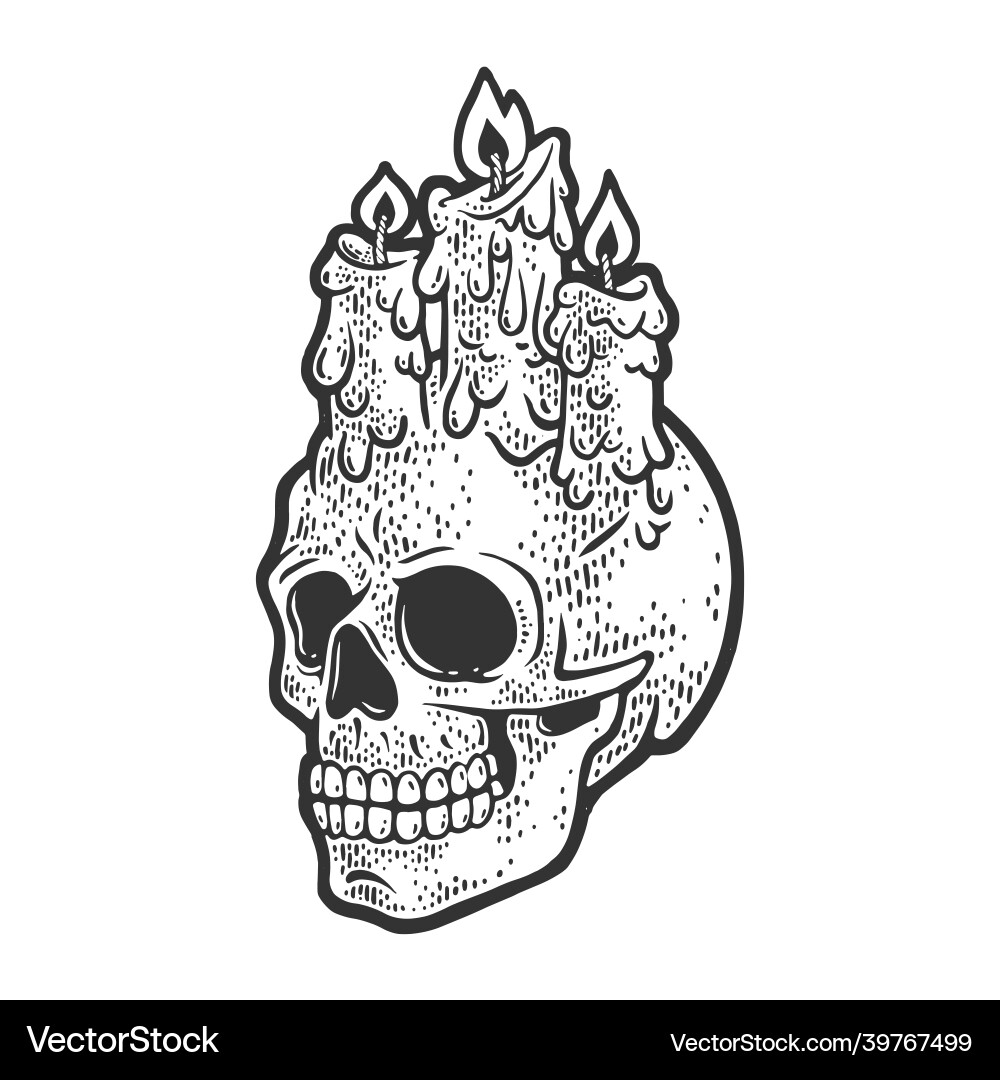Skull with Candle Stubs Vector Image