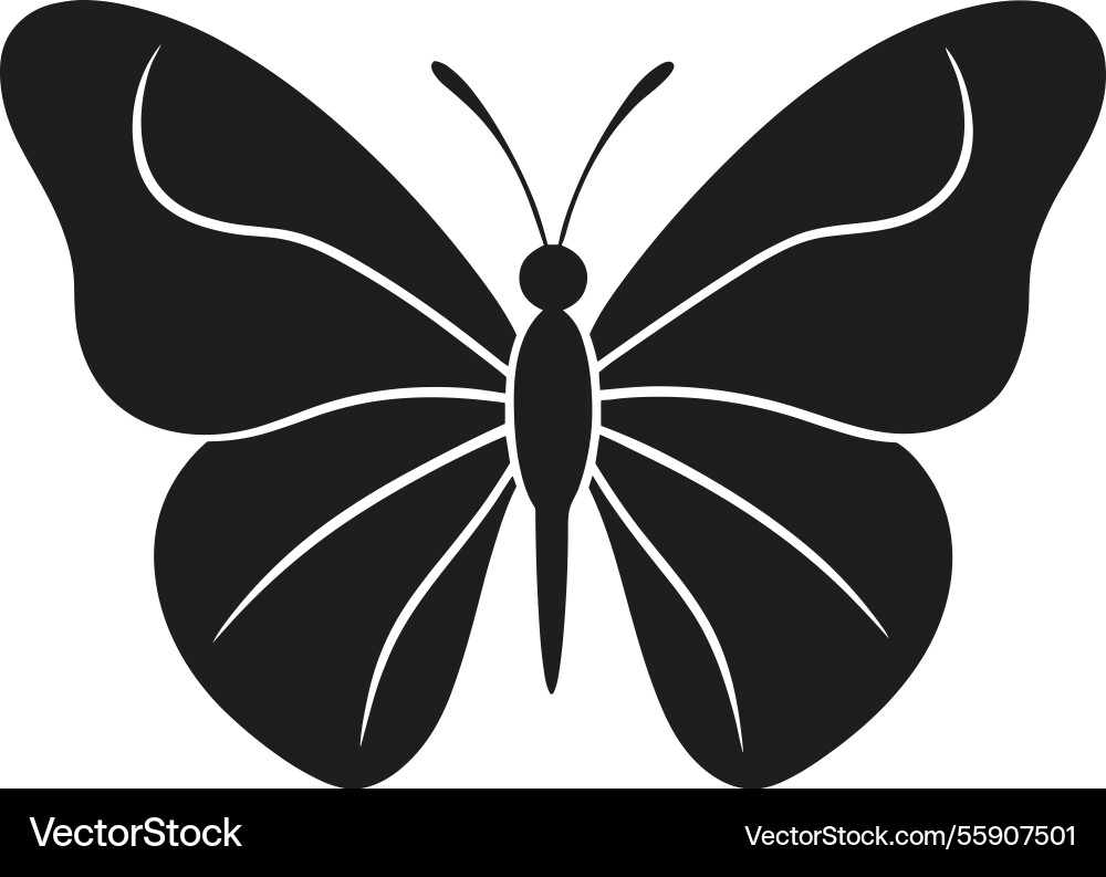 Elegante Schmetterlingssilhouette - minimalistisch Elegante Schmetterlingssilhouette - minimalistisch vektorbild