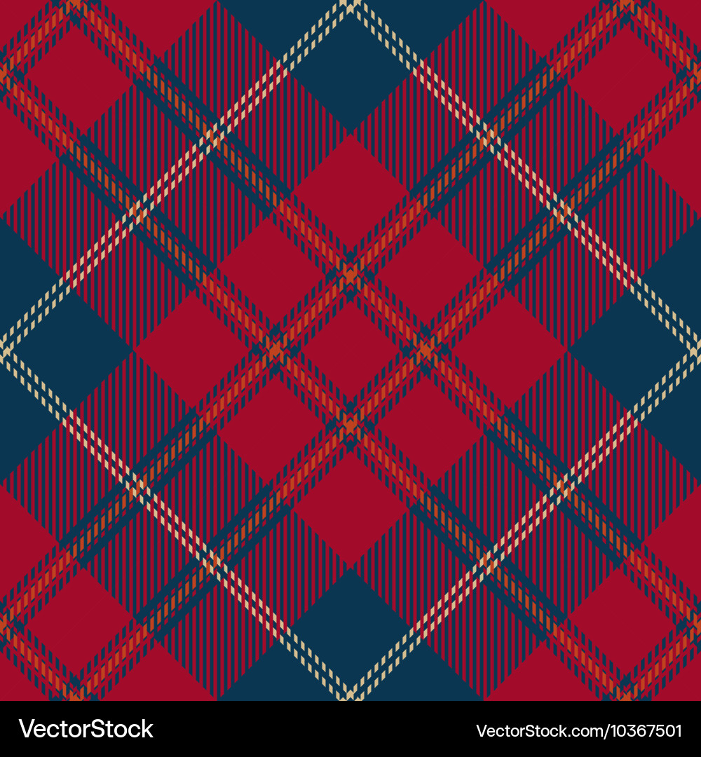 Tartan Plaid Pattern vector image