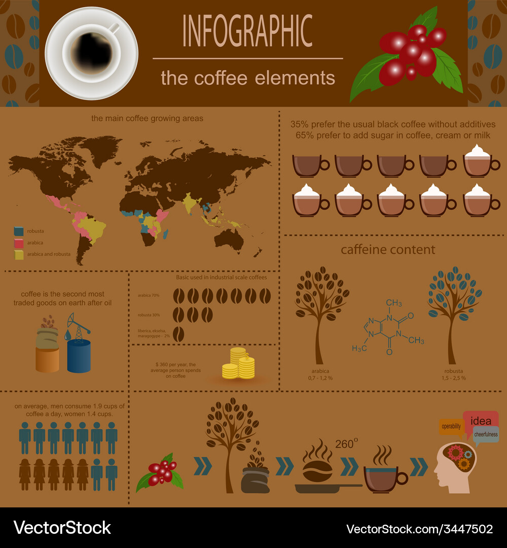 Coffee infographics set elements for creating Vector Image