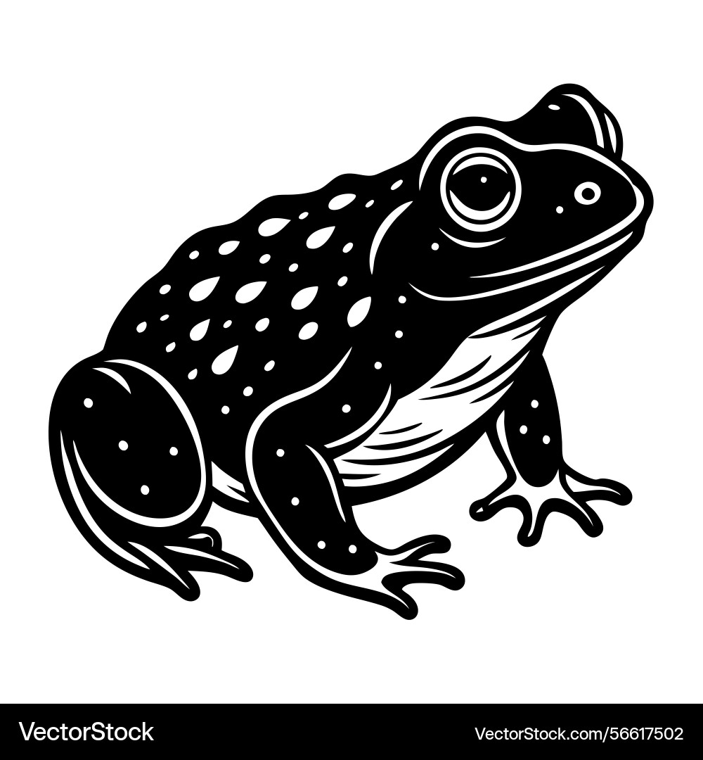 Golden toad white background Royalty Free Vector Image
