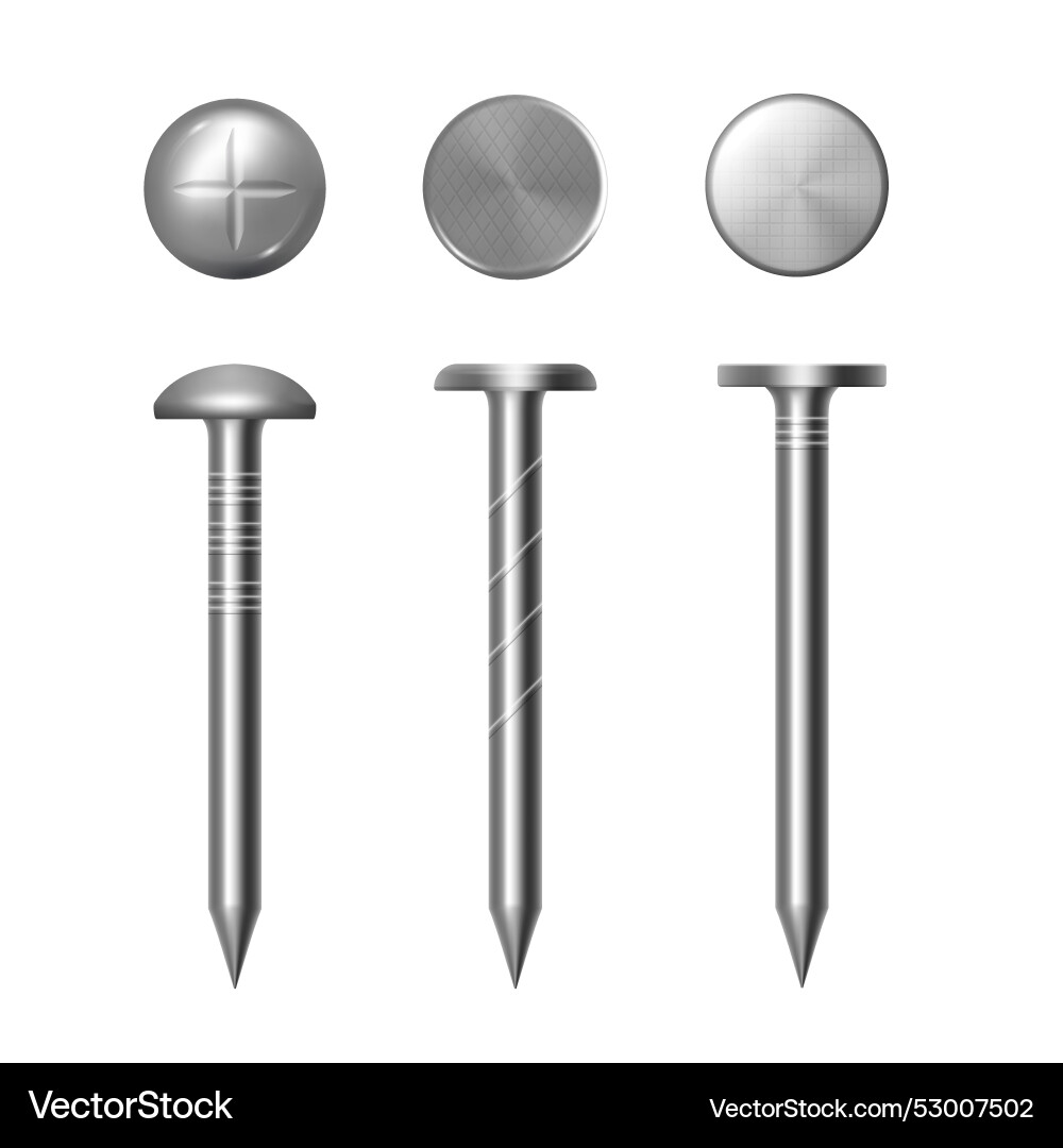 Straight metal nails types top and side view Straight metal nails types top and side view vector image