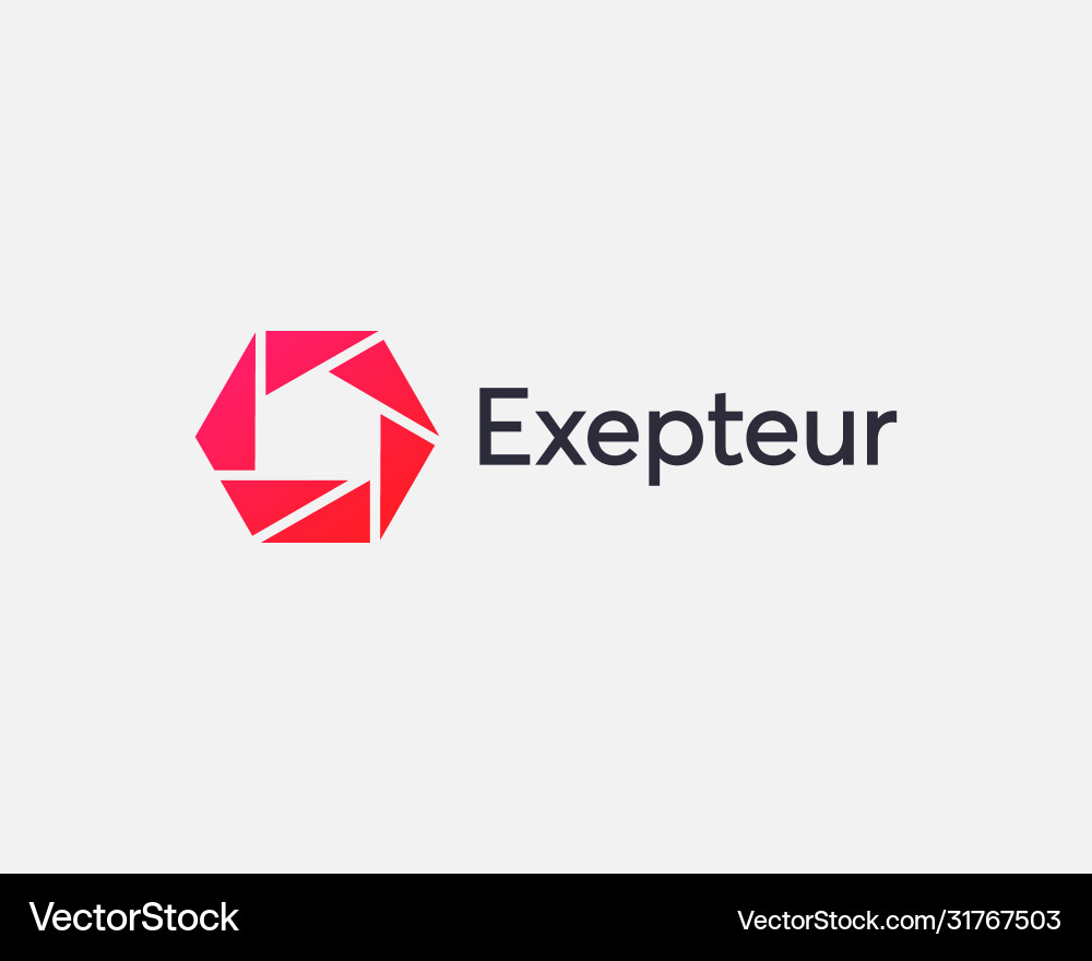 Modern Abstract Shutter Icon Vector Image