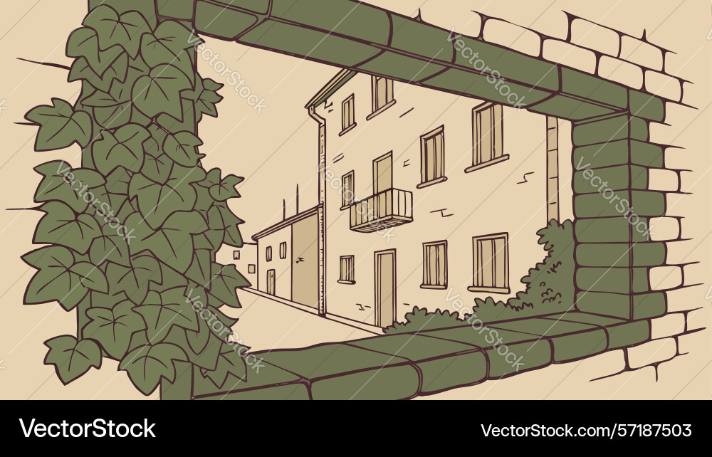 Old building with ivy rustic window view in urban vector image