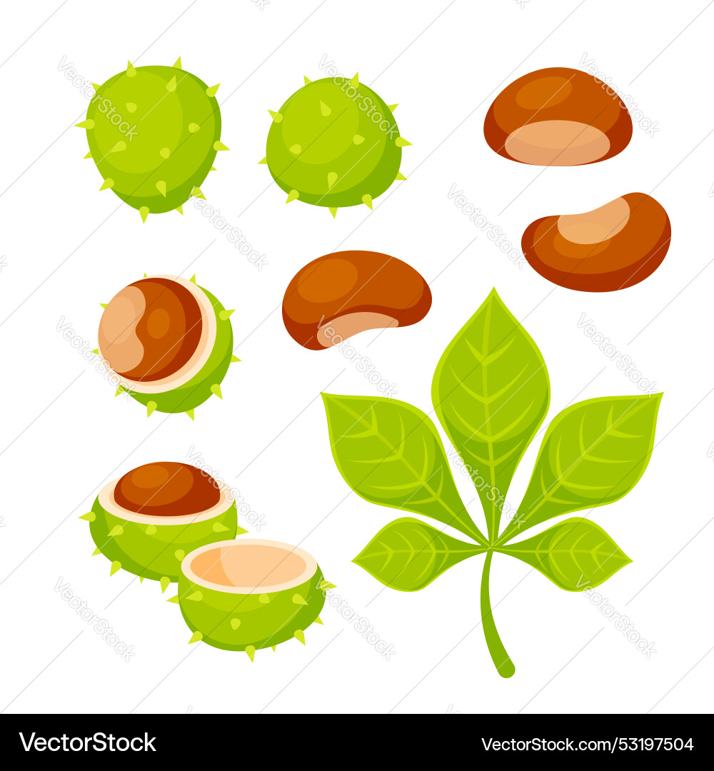 Set of showing different parts Set of showing different parts vector image