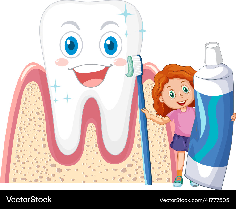 A little girl holding toothpaste and toothbrush A little girl holding toothpaste and toothbrush vector image