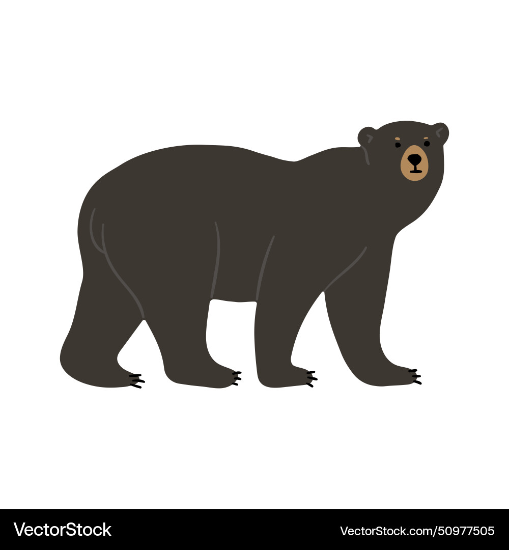 American black bear 2 Royalty Free Vector Image