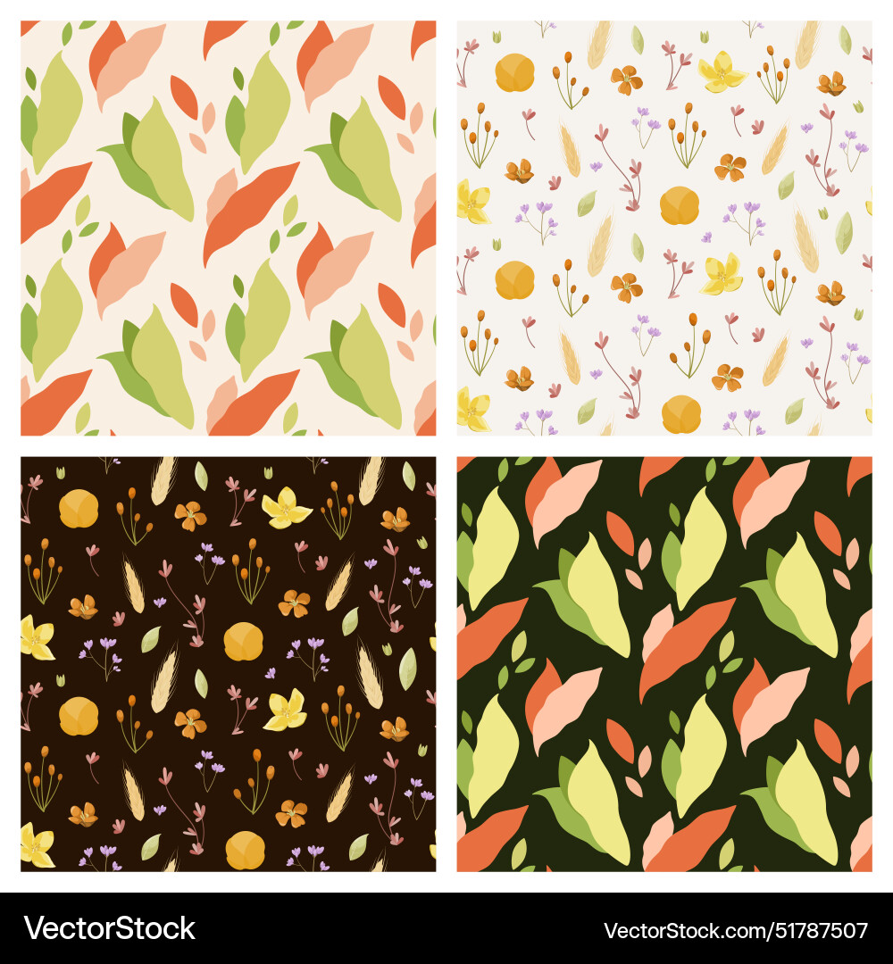A set of seamless patterns with flowers vector image