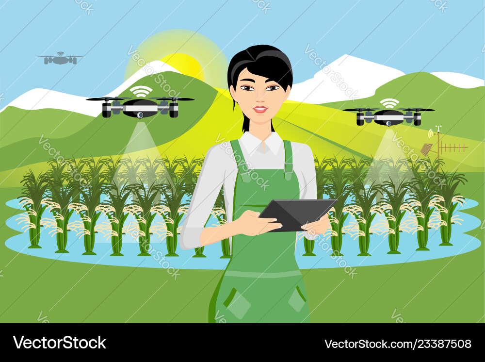 Farmer and drone are watering vegetables vector image