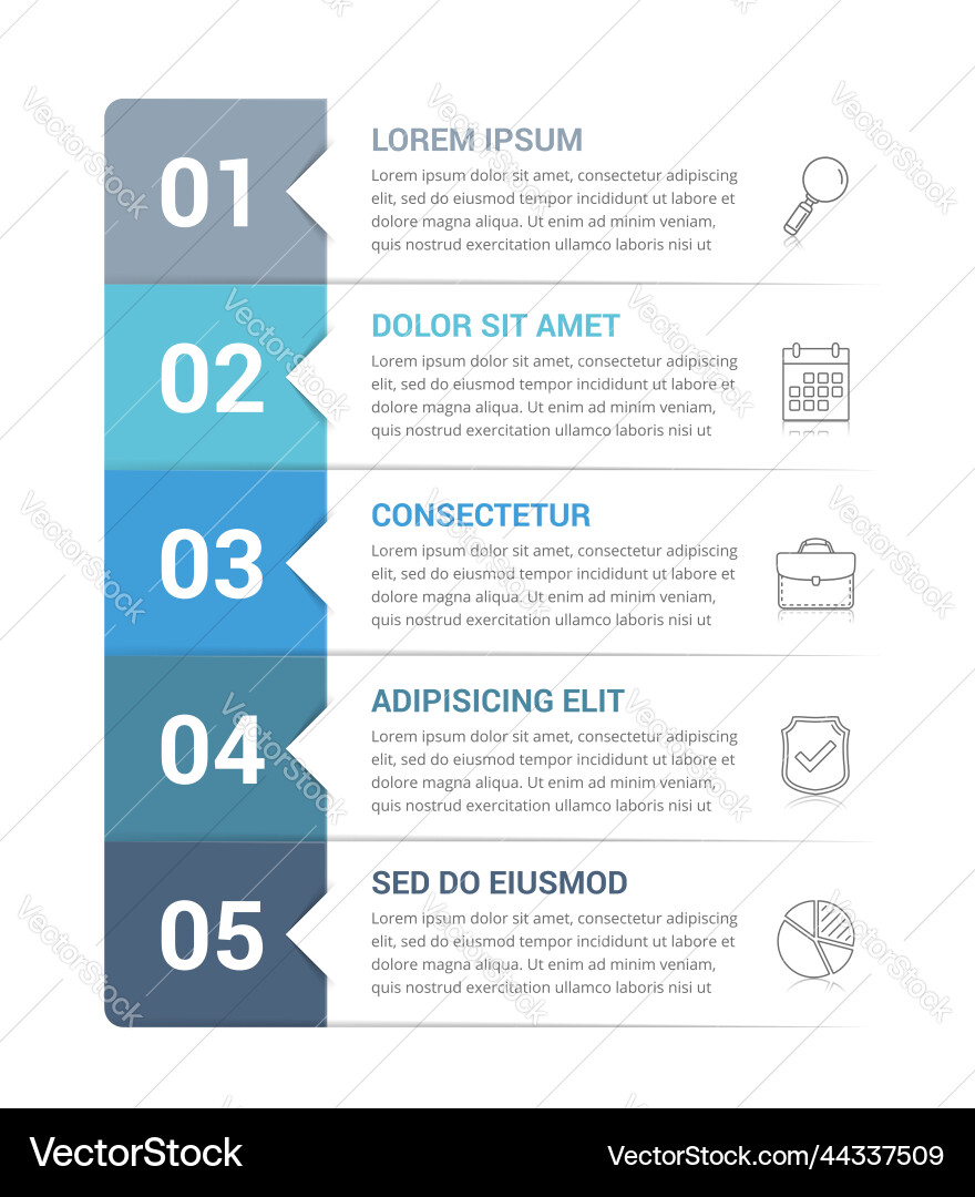 5-Step Workflow Infographic Template vector image