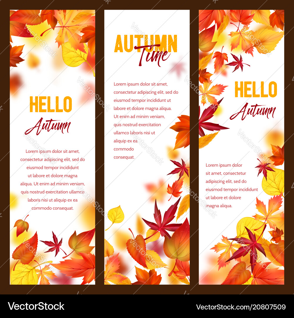 Autumn banners of fall leaf falling foliage Autumn banners of fall leaf falling foliage vector image