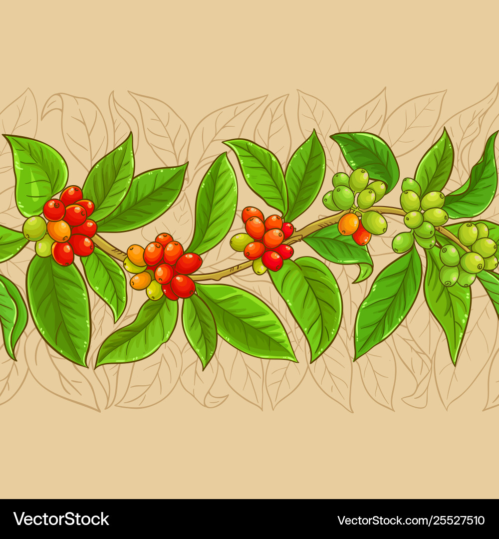 Coffee branches pattern on color background Coffee branches pattern on color background vector image