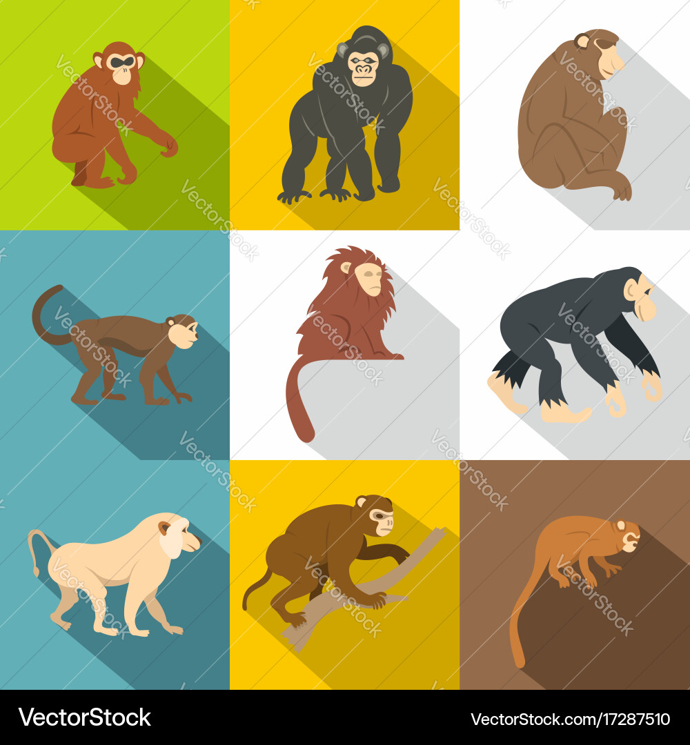 Different monkey icon set flat style vector image