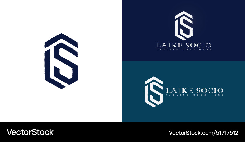 Abstract initial hexagon letters ls or sl logo Vector Image