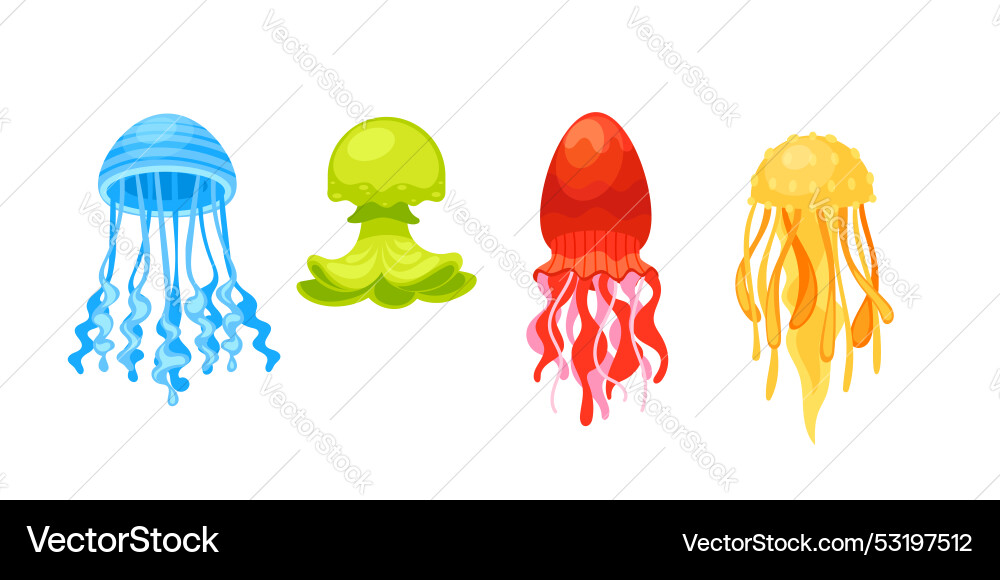 Four jellyfishes with different colors and shapes Four jellyfishes with different colors and shapes Vector Image