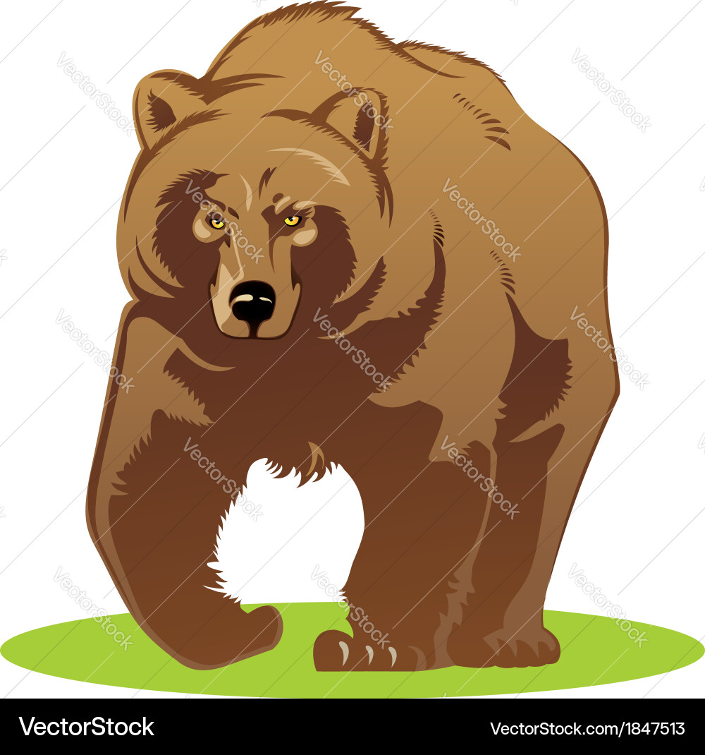 Cute Brown Bear Royalty Free Vector Image - VectorStock