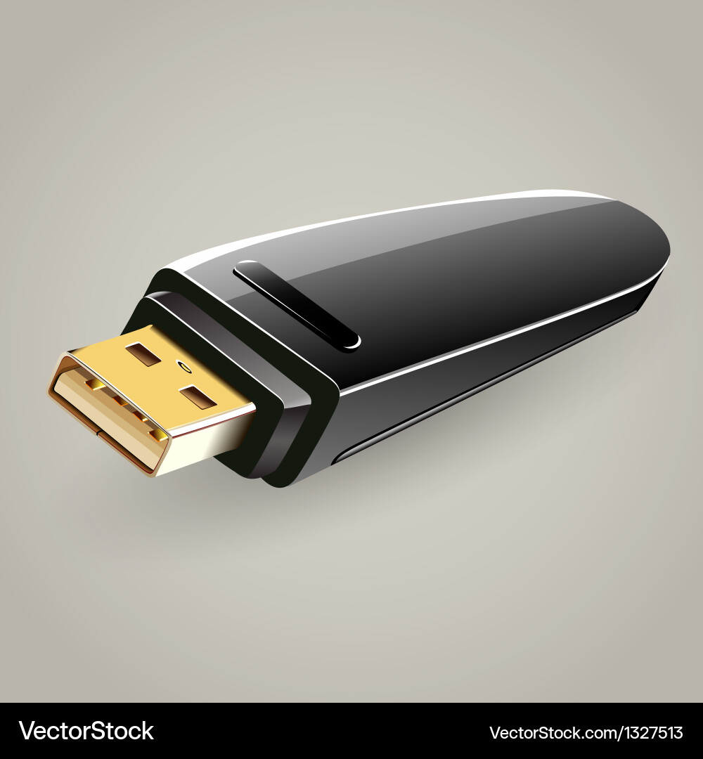 Usb flash drive memory storage vector image