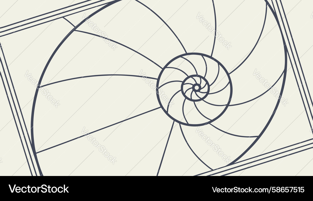 Fibonacci Spiral Geometric Pattern Vector Image