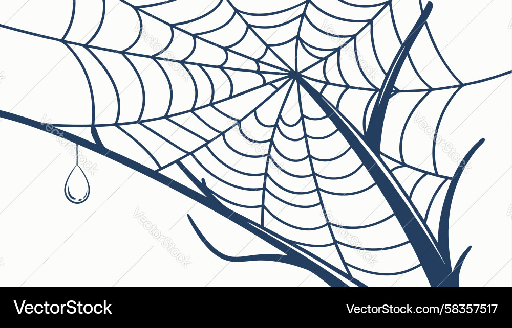 Intricate Spider Web Pattern Vector Image