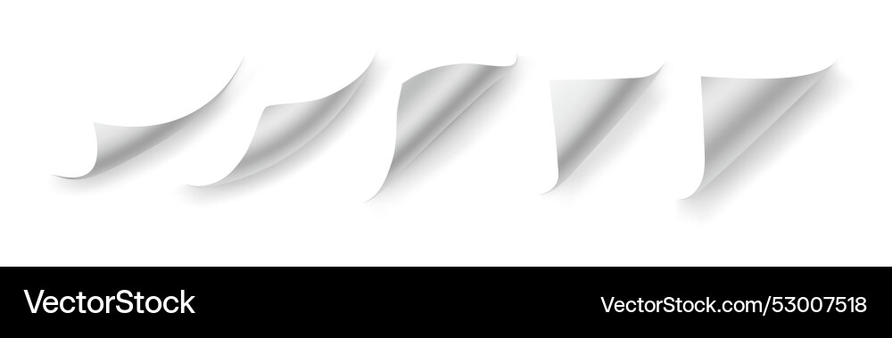 Page curl leaves of book with curved endpoints Page curl leaves of book with curved endpoints vector image