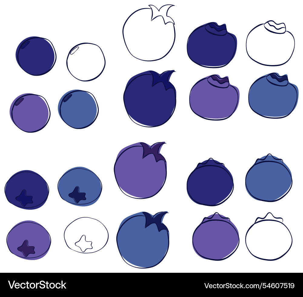 Blueberries graphics line set isolated Blueberries graphics line set isolated Vector Image