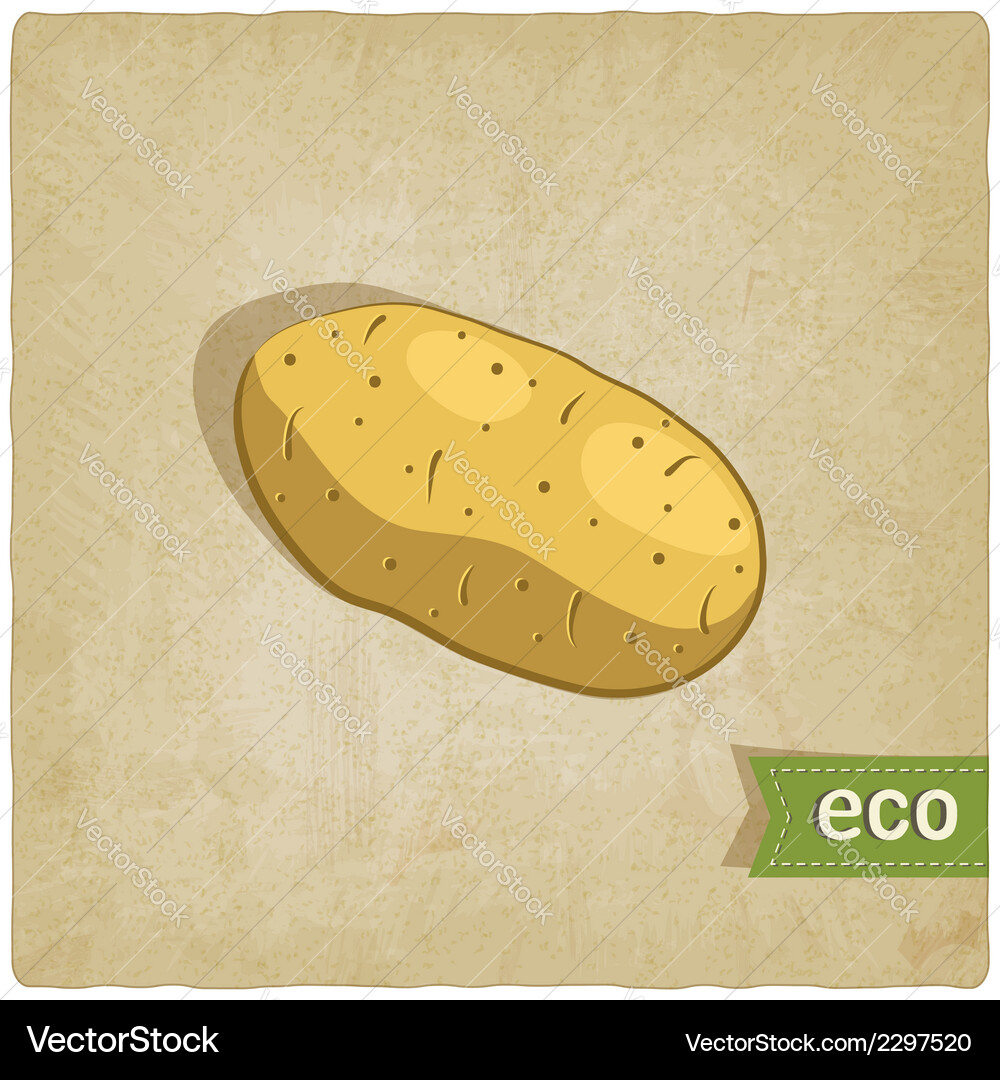 Potato eco background Vector Image