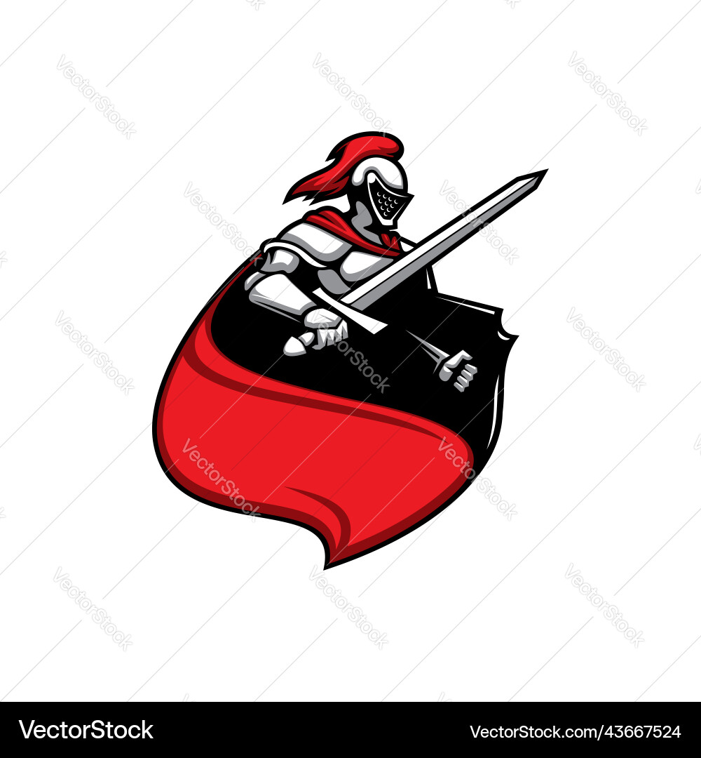 Fighting templar knight in cloak sword and shield Fighting templar knight in cloak sword and shield vector image