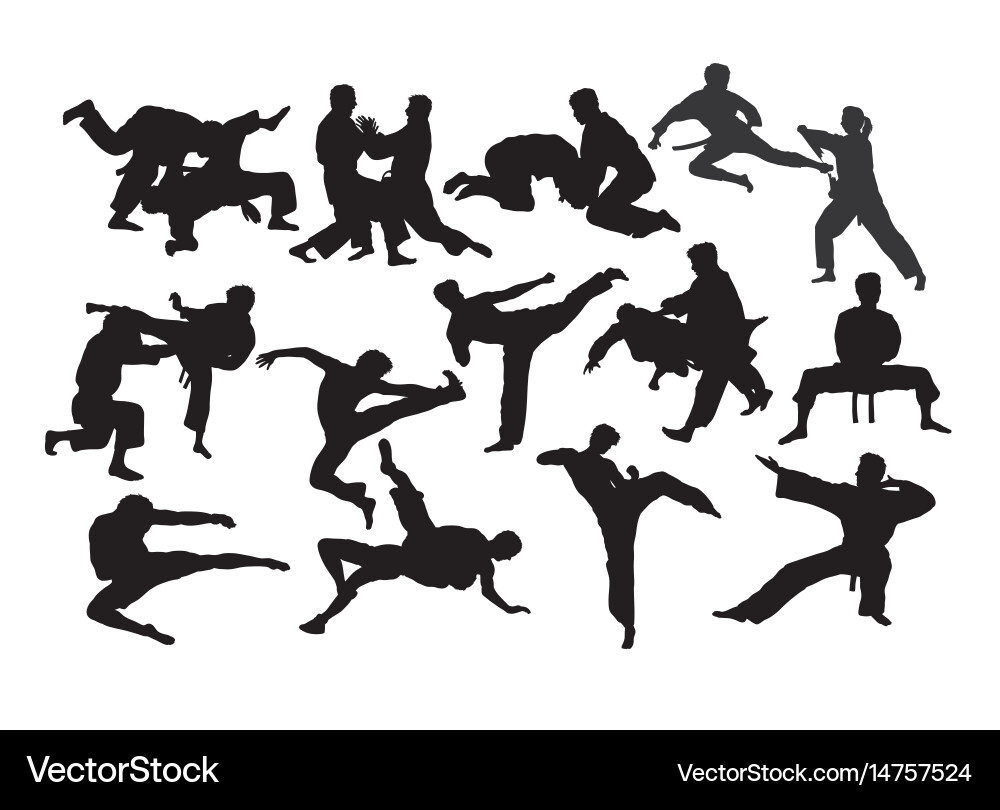 Martial Arts Silhouettes Vector Image