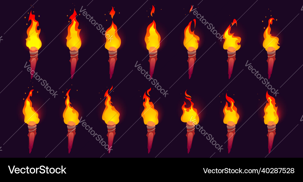 Burning Torch Animation vector image
