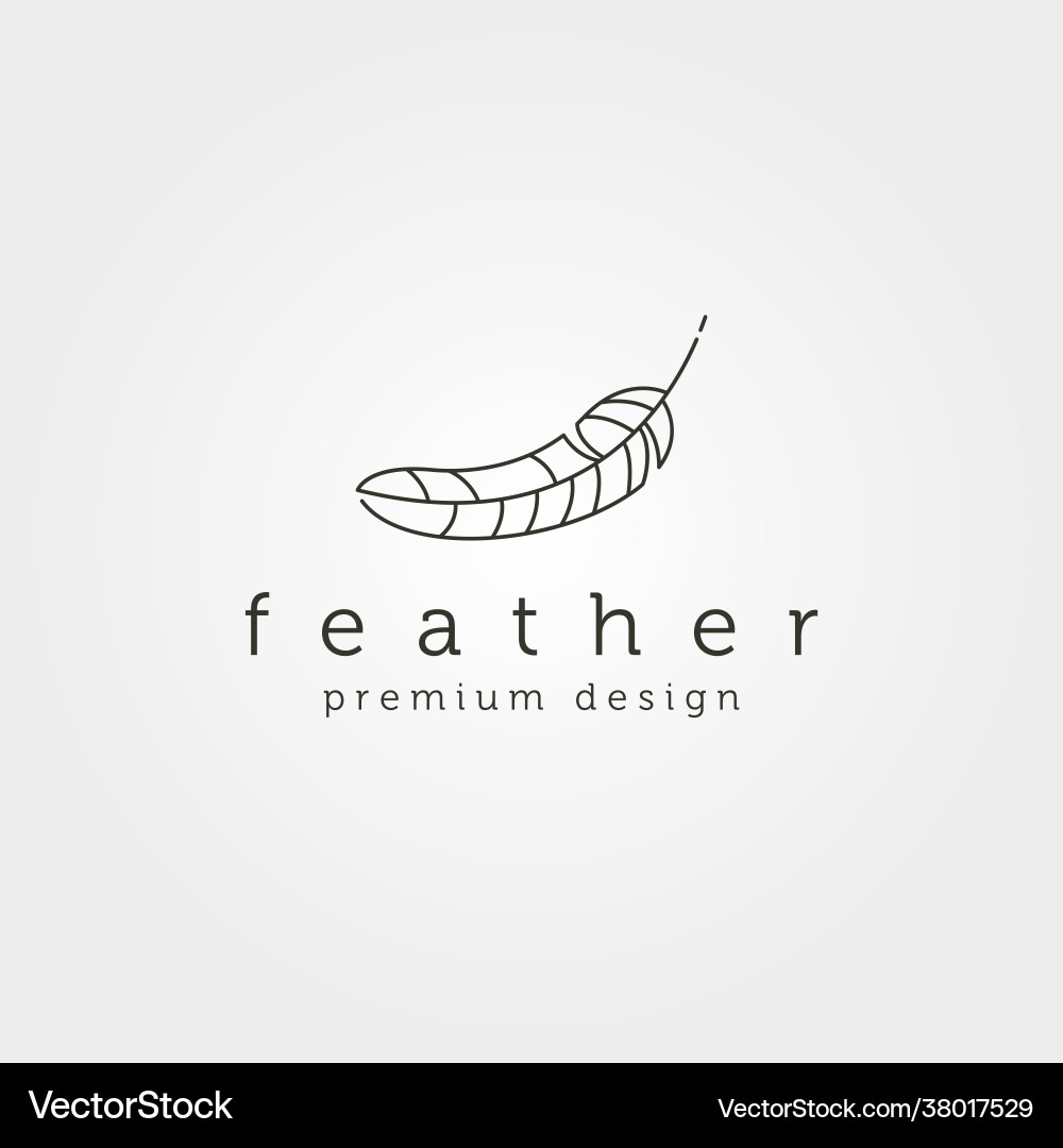Line art feather icon logo minimalist symbol Line art feather icon logo minimalist symbol vector image