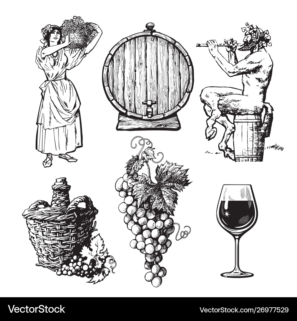 Rustic Wine Elements Set vector image
