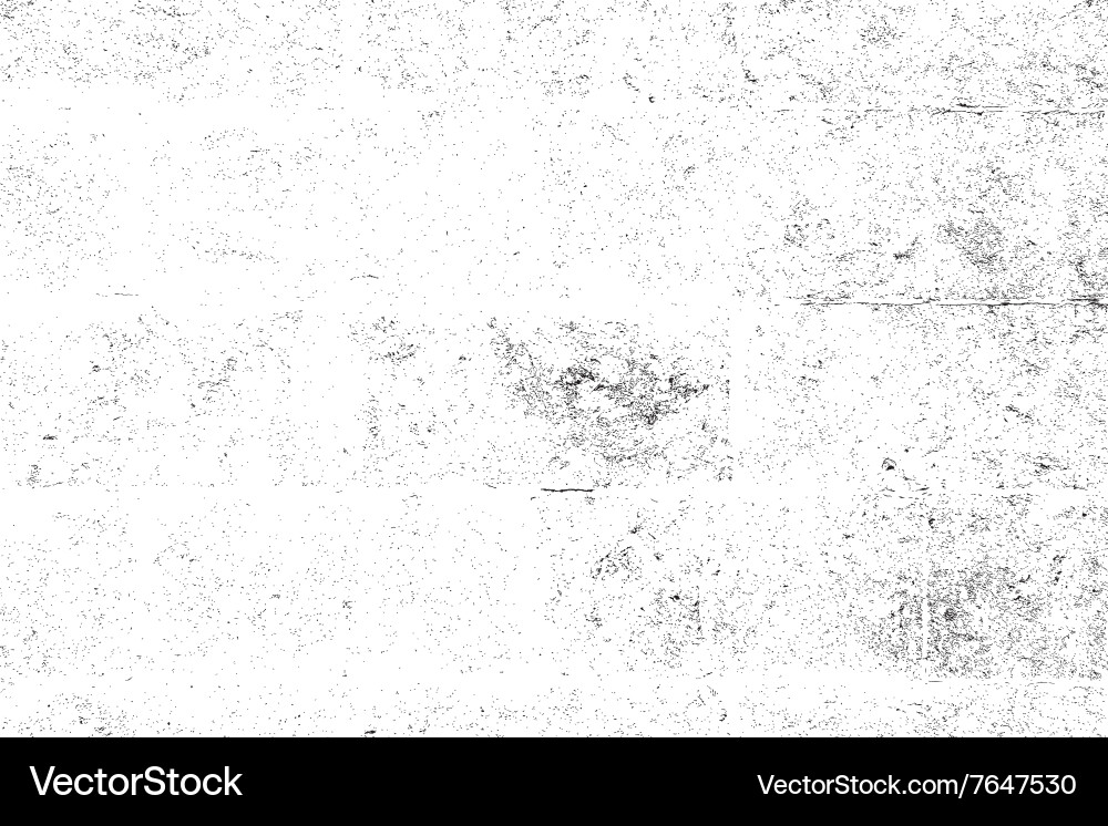 Grunge Texture Overlay vector image