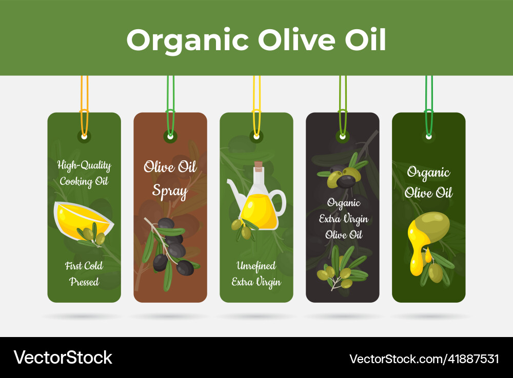Collection organic olive oil tag rope retail promo Collection organic olive oil tag rope retail promo vector image