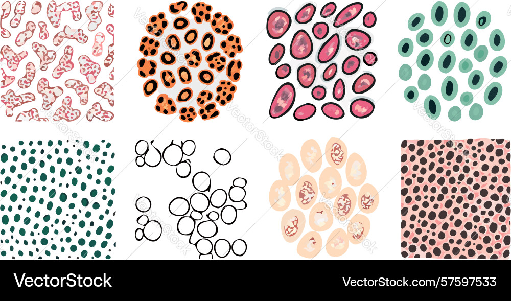 Assorted patterns set abstract decorative vector image