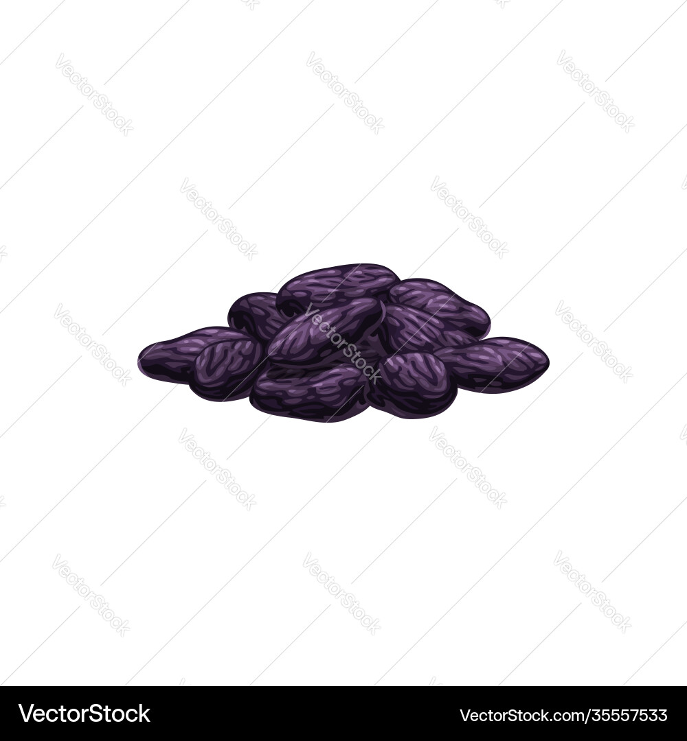 Raisins getrocknete Früchte trockenes Essen und süße Snacks Raisins getrocknete Früchte trockenes Essen und süße Snacks vektorbild