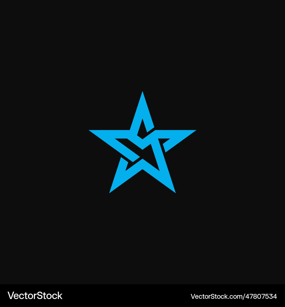 Letters sm ms star logo Letters sm ms star logo vector image