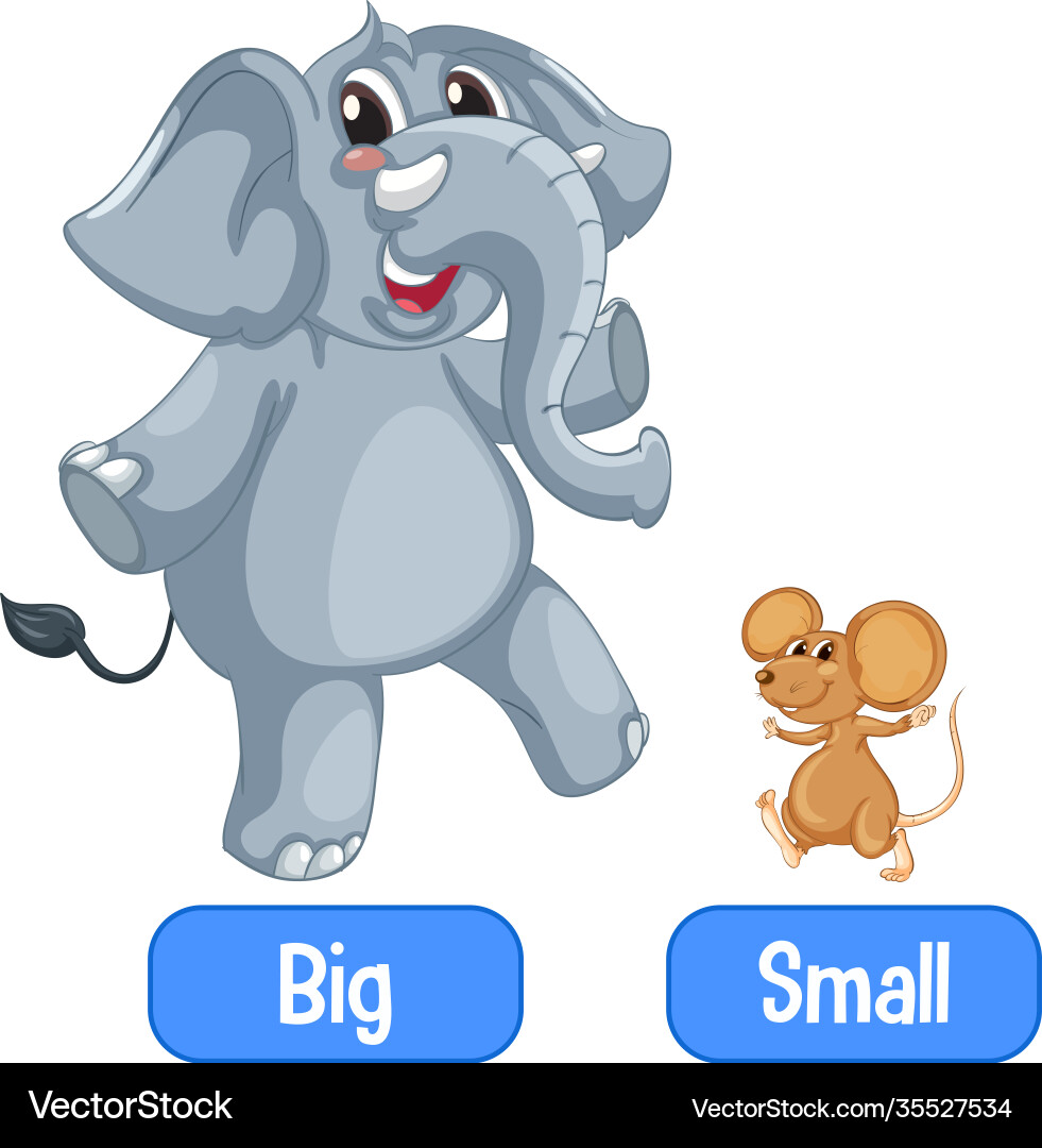 Opposite adjectives words with big and small Vector Image