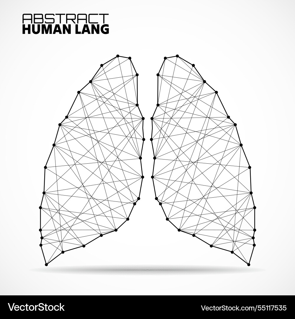 Polygonal abstract lung with connected lines Vector Image