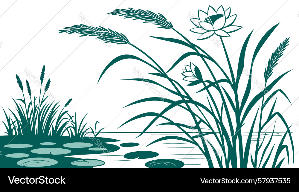 Pond Edge with Reeds and Lily Vector Image