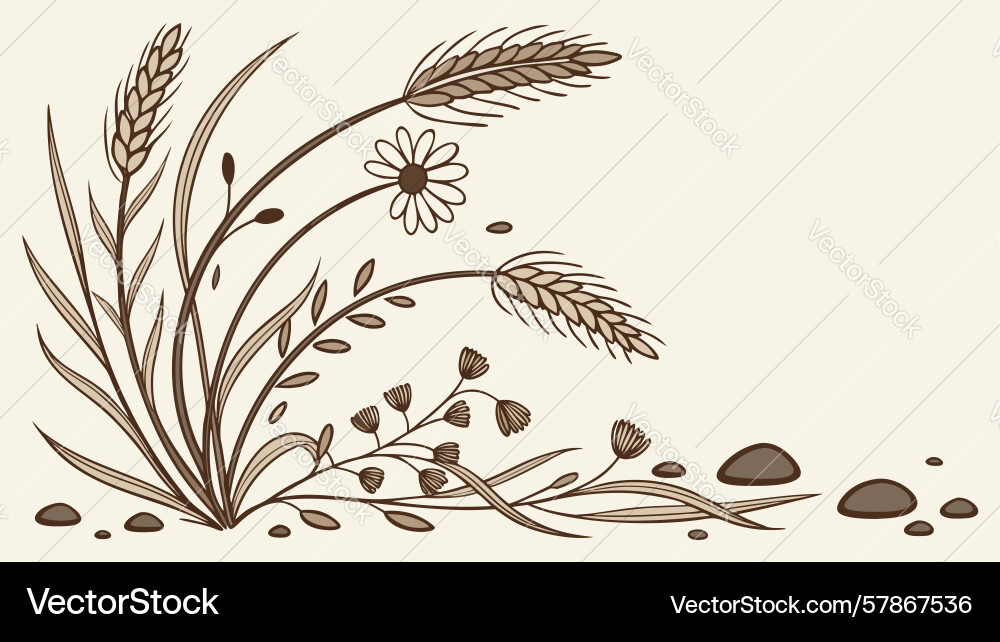 Charming wheat and daisy border for rustic spring Vector Image