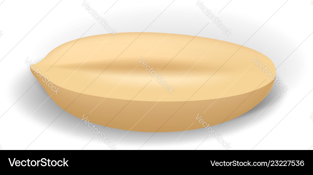 Half clean peanut icon realistic style Vector Image