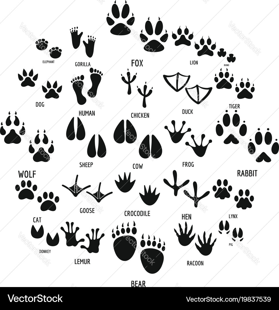 Animal Footprint Icons vector image