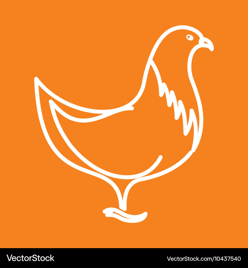 Chicken1 resize vector image