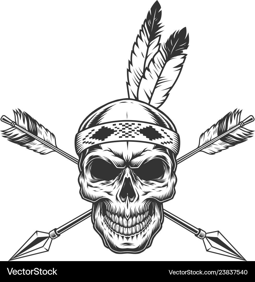 Native American Warrior Skull with Arrows Vector Image